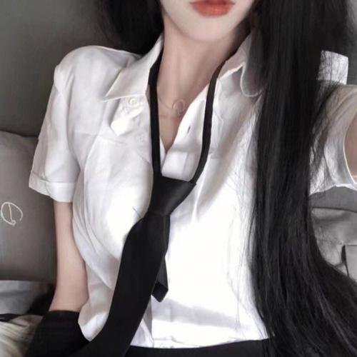 追梦小海豚